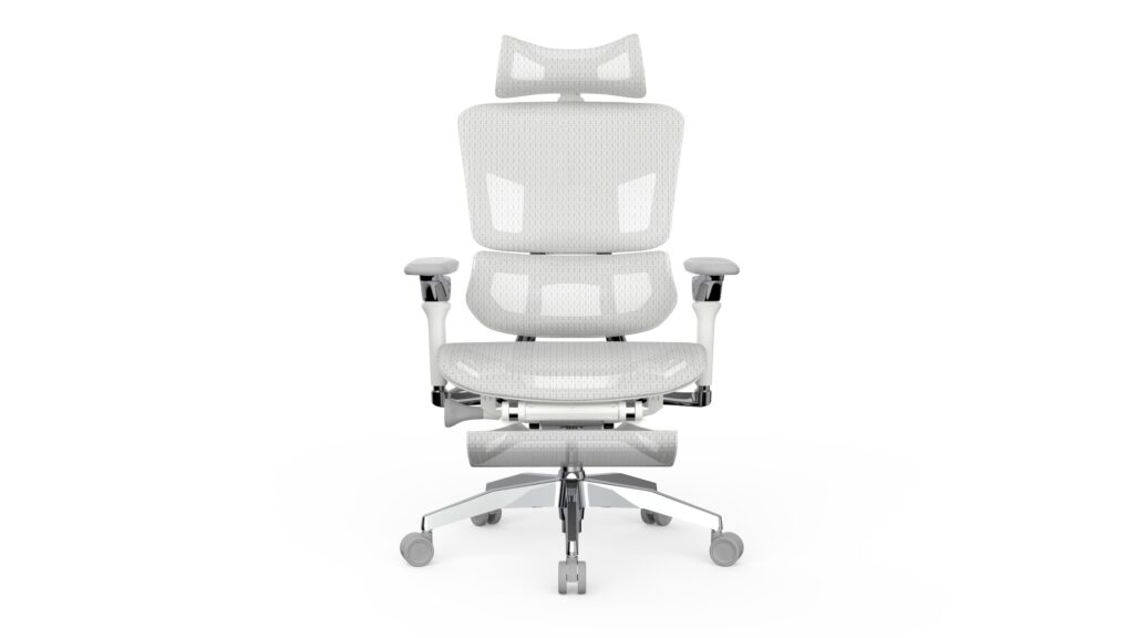 Rasical Chair Elite(ホワイトグレー)
