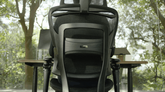 COFO Chair Premium2のランバーサポート調節