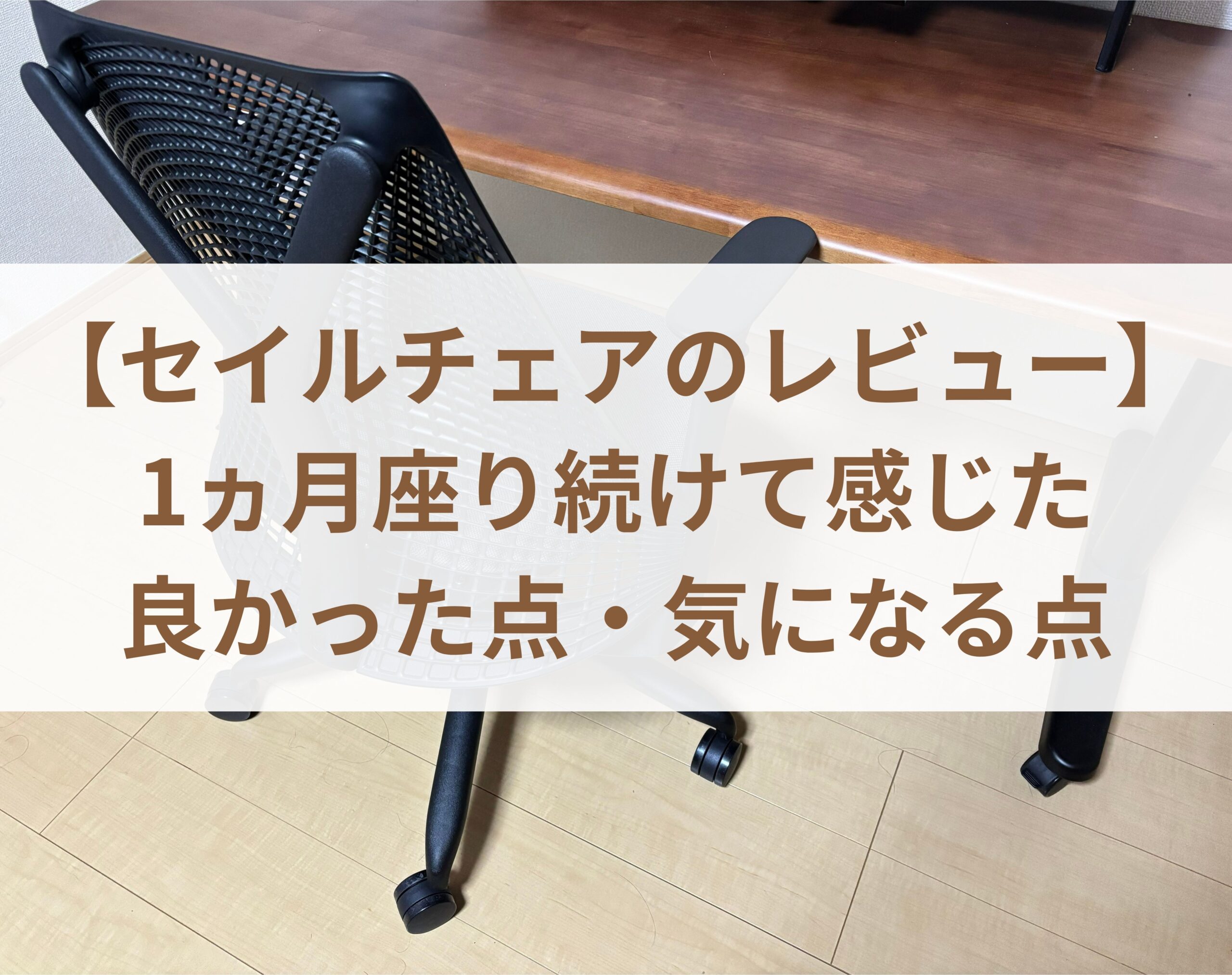 【セイルチェアのレビュー】1ヵ月座り続けて感じた良かった点・気になる点を計10項目で紹介！